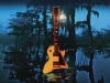 LYNYRD SKYNYRD THEN AND NOW (Freebird on the bayou) 2000