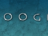 MOOGIS 2010 