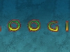 MOOGIS 2 2010
