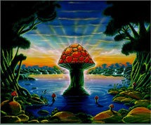 the-allman-brothers-band_54963_top